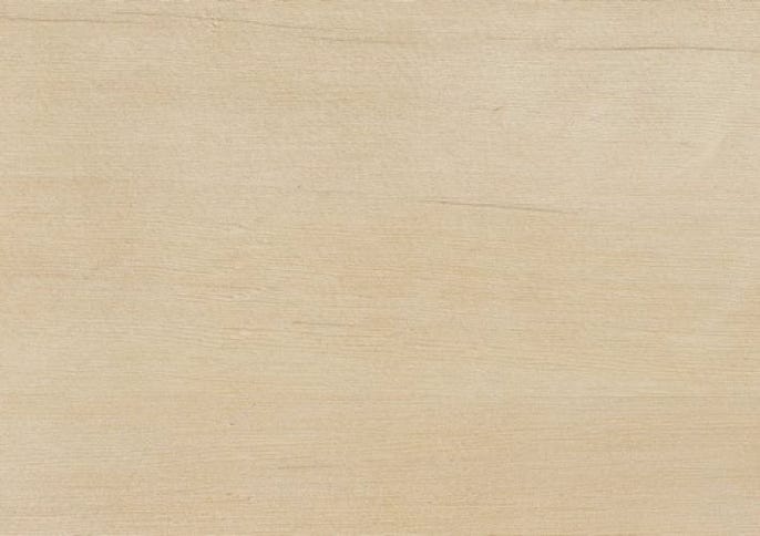 Bei den großflächigen Hemlock-Paneelen kommt die astarme Optik dieses gleichmäßig gefärbten Kieferngewächses erst richtig zur Geltung. Das feinwüchsige Tannenholz wirkt besonders harmonisch, ist harzfrei, langlebig und perfekt für den Saunabau geeignet.